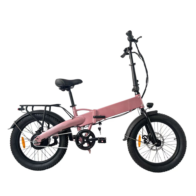 Electric Bicycle