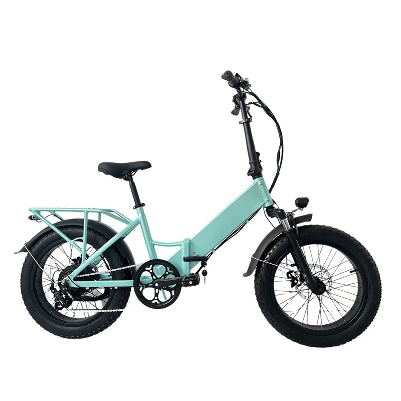 Electric Bicycle