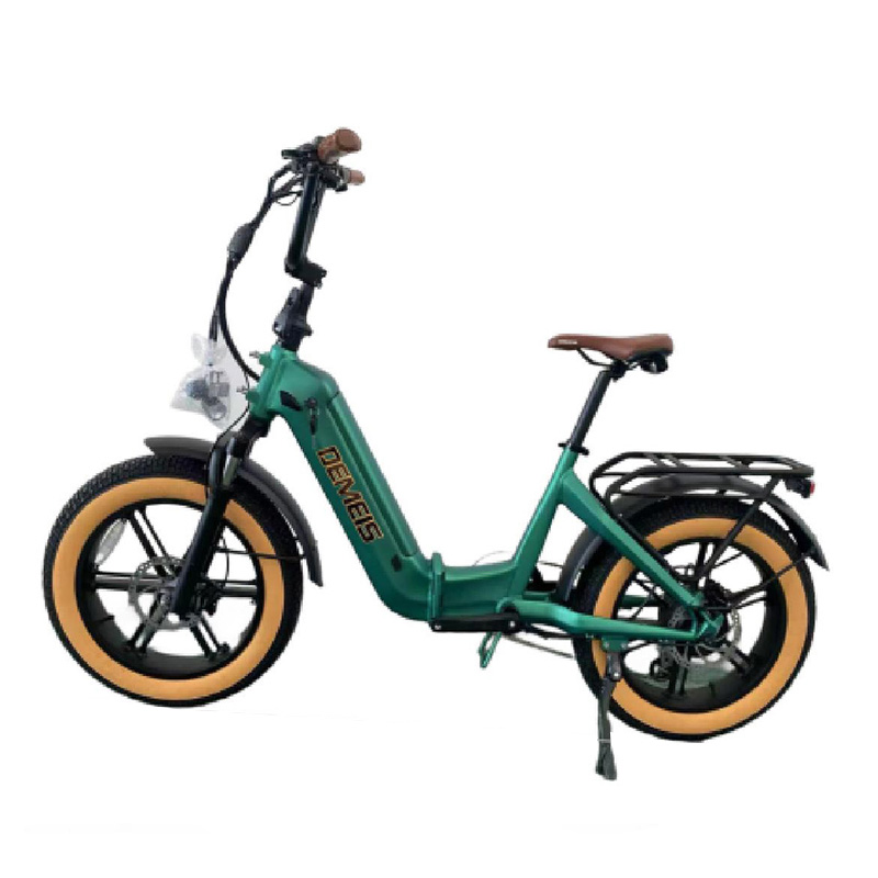 Electric Bicycle