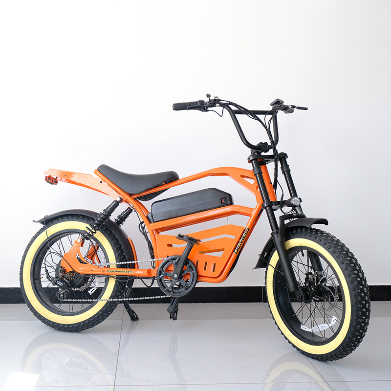 Electric Bicycle