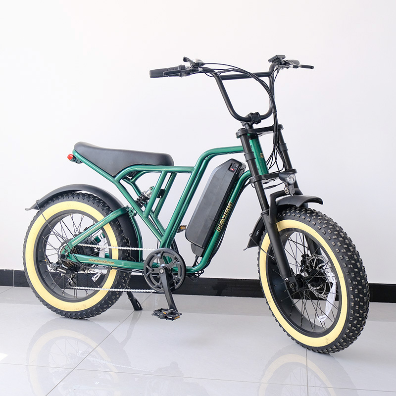 Electric Bicycle